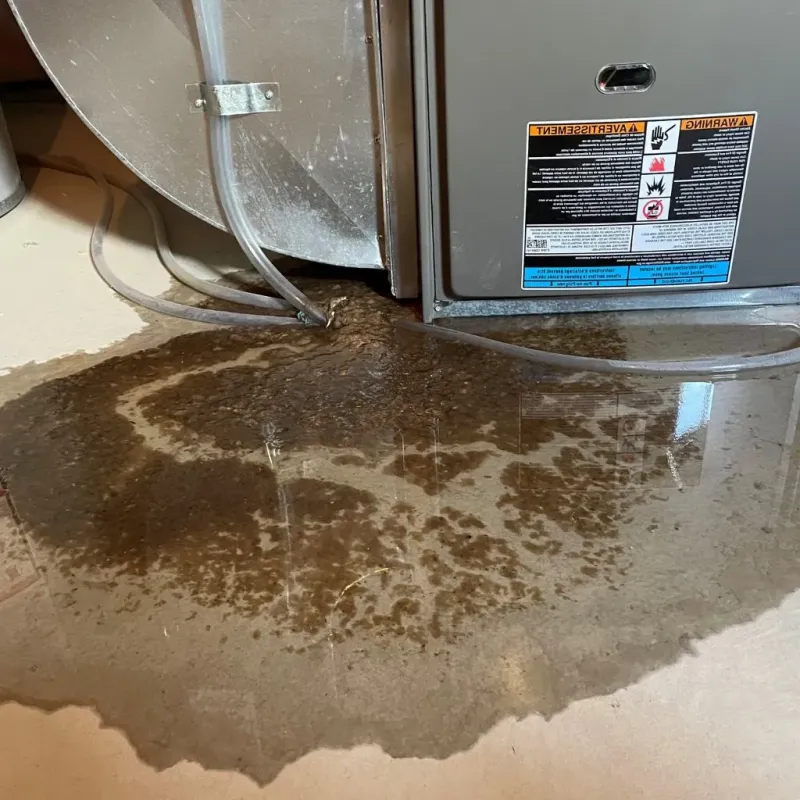 Pipe Burst and Leak Restoration in Lake Heritage, PA