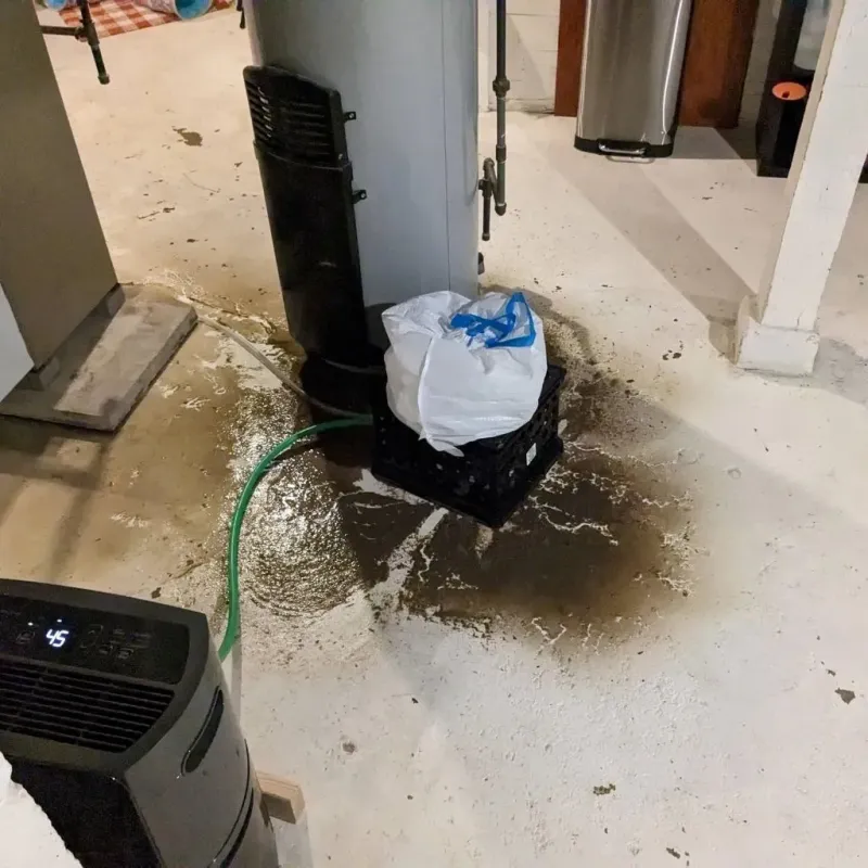 Sewage Backup Cleanup Service in Lake Heritage, PA